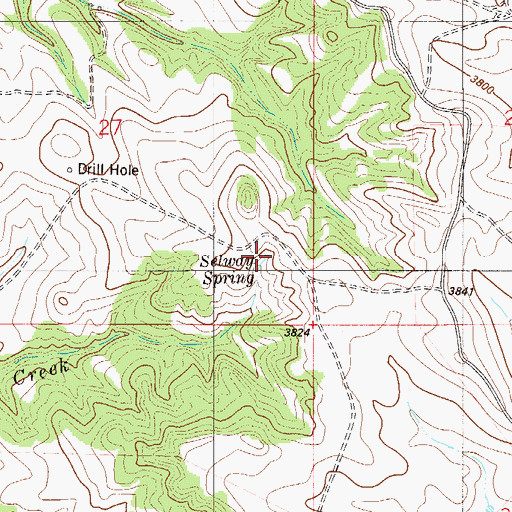 Topographic Map of Selway Spring, MT