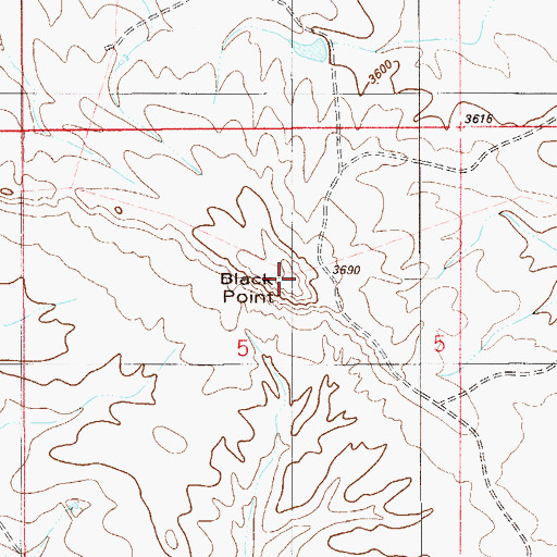 Topographic Map of Black Point, MT