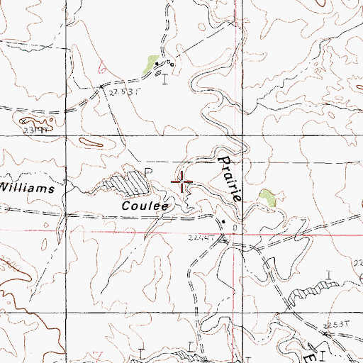 Topographic Map of Williams Coulee, MT