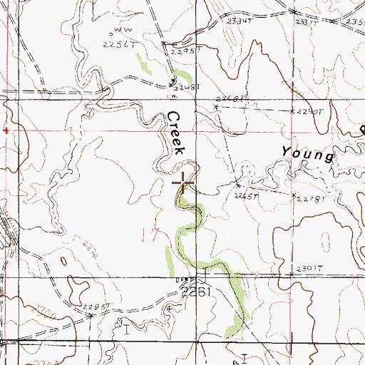 Topographic Map of Young Coulee, MT