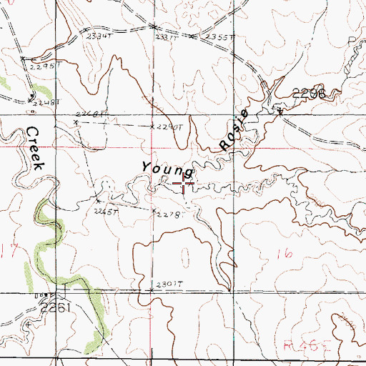 Topographic Map of Rosie Coulee, MT