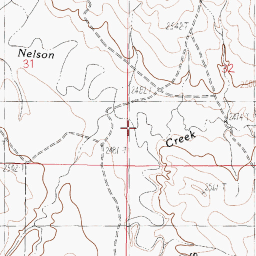 Topographic Map of South Fork Nelson Creek, MT