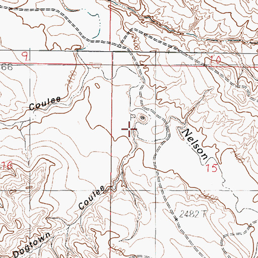 Topographic Map of Dogtown Coulee, MT