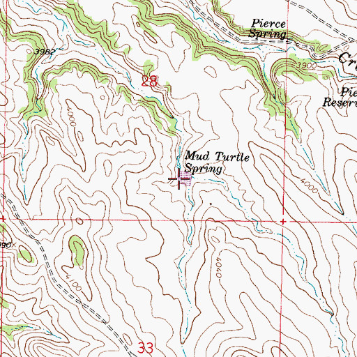 Topographic Map of Mud Turtle Reservoir, MT