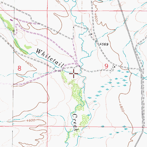 Topographic Map of Little Whitetail Creek, MT