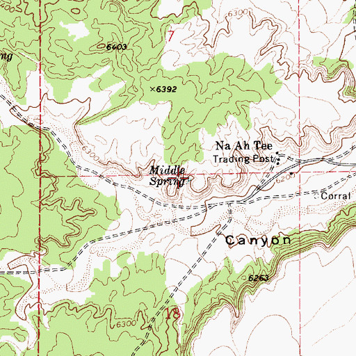 Topographic Map of Middle Spring, AZ