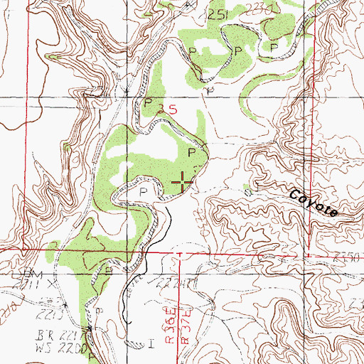 Topographic Map of Coyote Coulee, MT