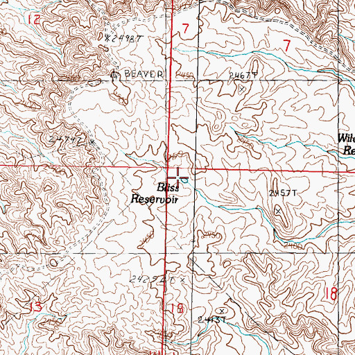 Topographic Map of Bliss Reservoir, MT