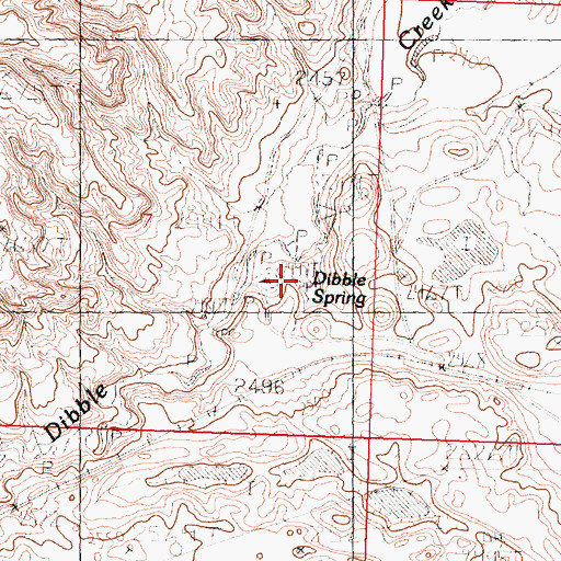 Topographic Map of Dibble Spring, MT