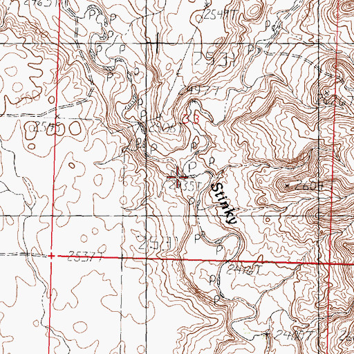 Topographic Map of East Fork Stinky Creek, MT