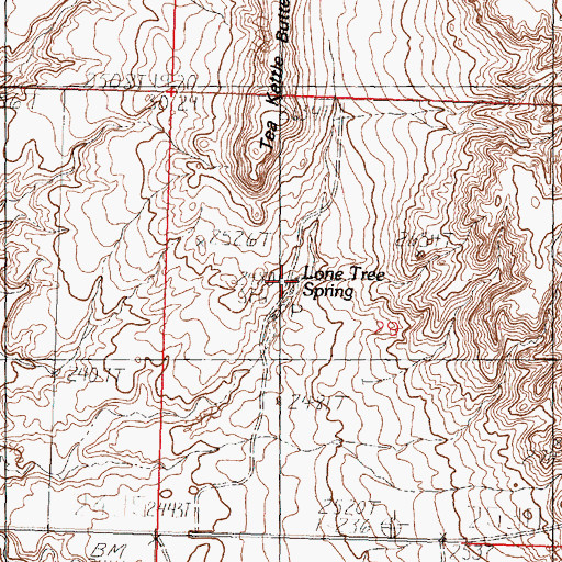 Topographic Map of Lone Tree Spring, MT