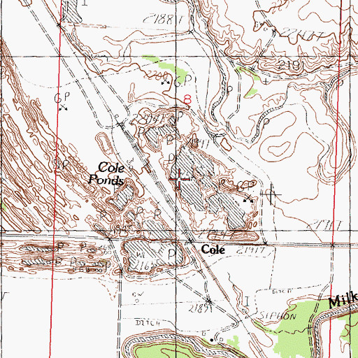 Topographic Map of Cole Ponds, MT