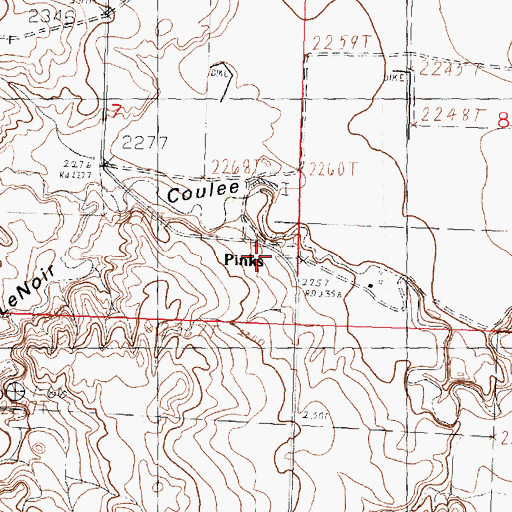 Topographic Map of Pinks, MT