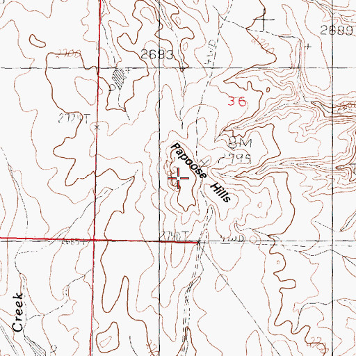 Topographic Map of Papoose Hills, MT