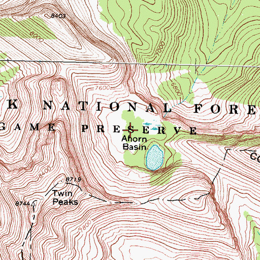 Topographic Map of Ahorn Basin, MT