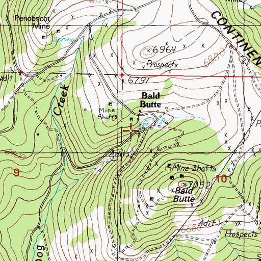 Topographic Map of Bald Butte, MT