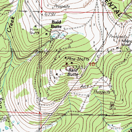 Topographic Map of Bald Butte, MT
