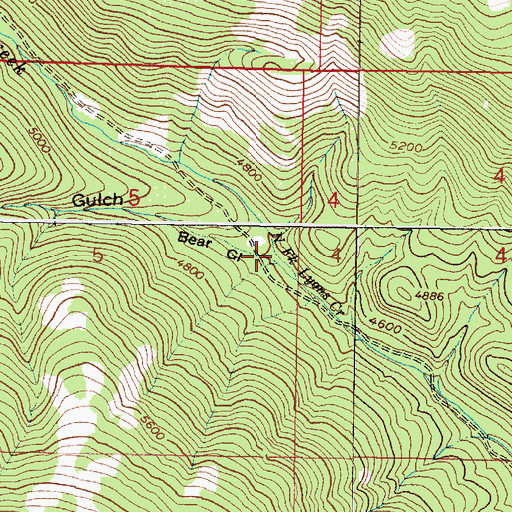 Topographic Map of Bear Gulch, MT