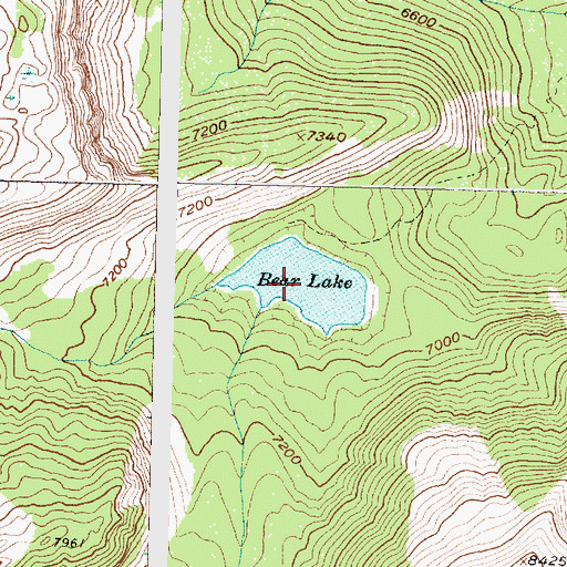 Topographic Map of Bear Lake, MT