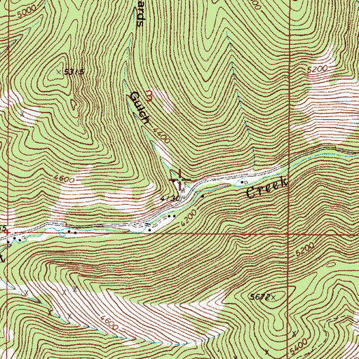 Topographic Map of Beards Gulch, MT