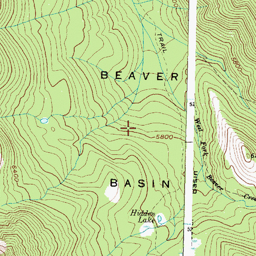 Topographic Map of Beaver Basin, MT