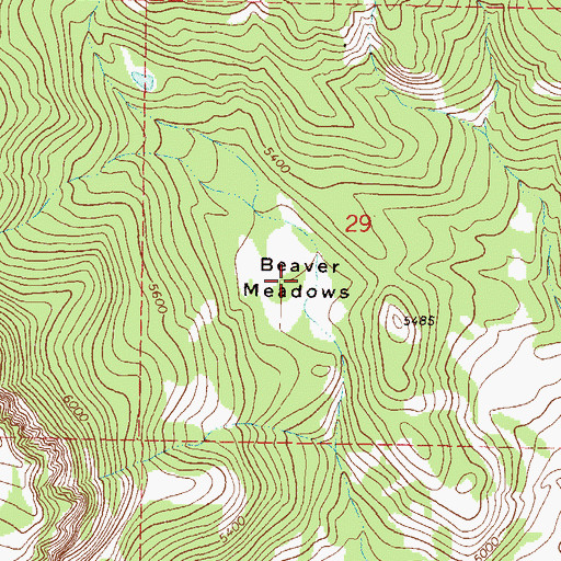 Topographic Map of Beaver Meadows, MT