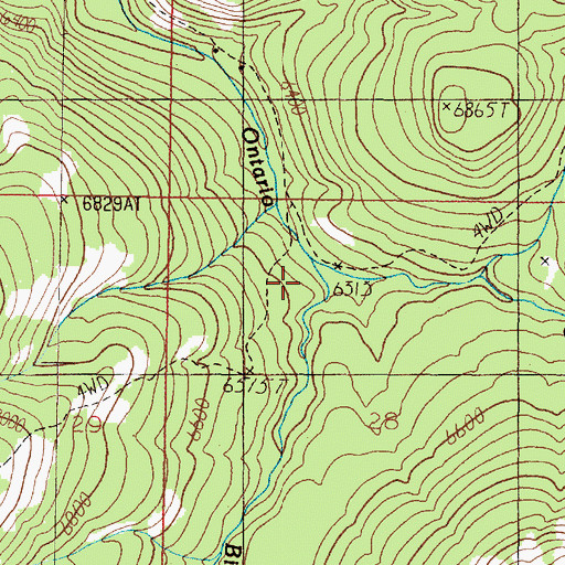 Topographic Map of Bison Creek, MT