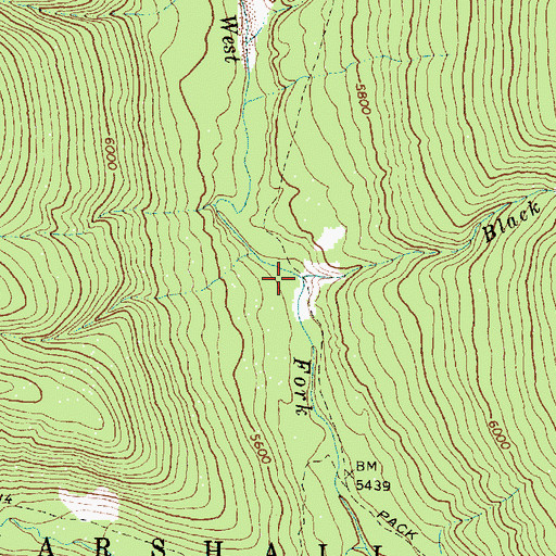 Topographic Map of Black Bear Creek, MT