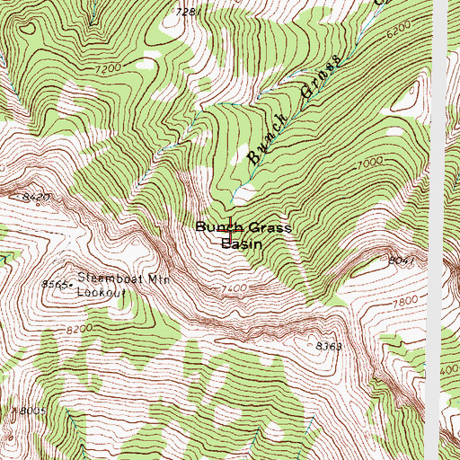 Topographic Map of Bunch Grass Basin, MT