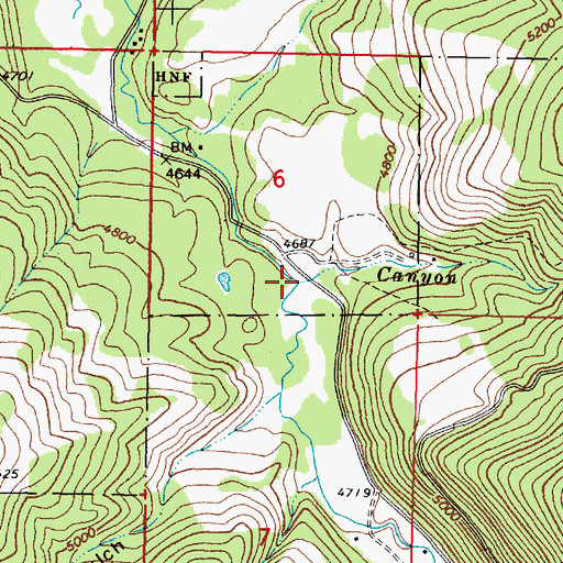 Topographic Map of Canyon Creek, MT