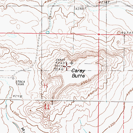 Topographic Map of Carey Butte, MT