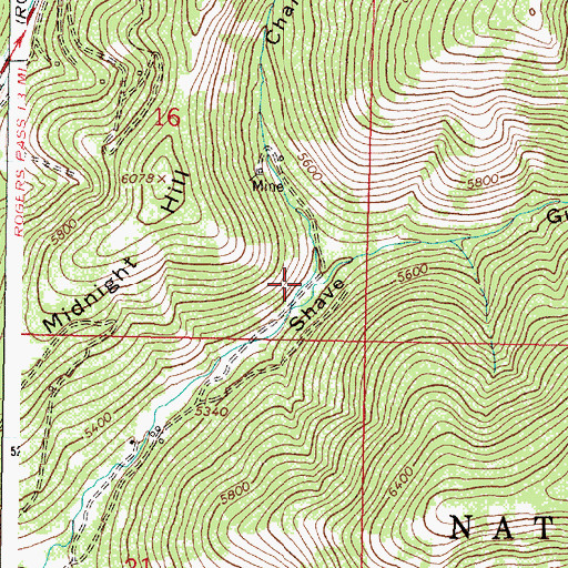 Topographic Map of Chambers Gulch, MT