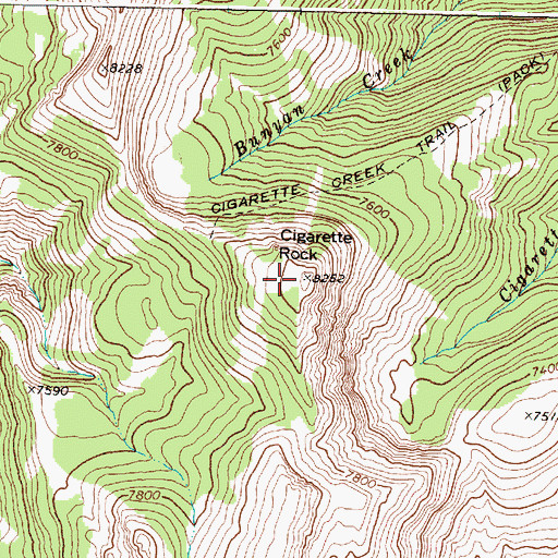 Topographic Map of Cigarette Rock, MT