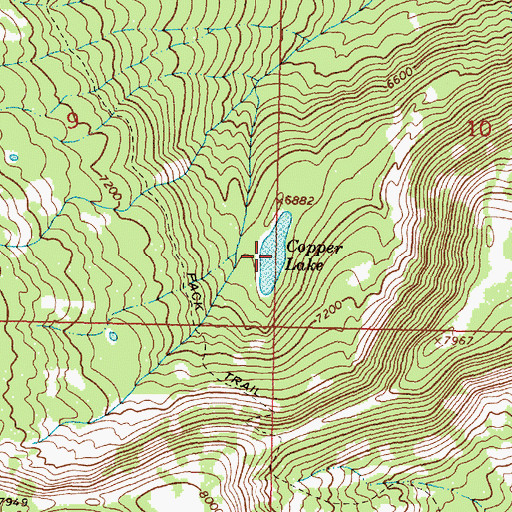 Topographic Map of Copper Lake, MT