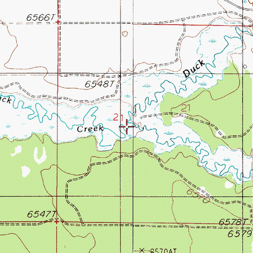 Topographic Map of Cougar Creek, MT