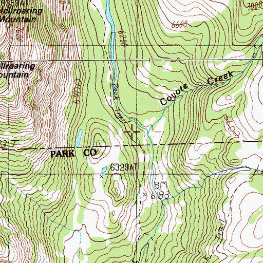 Topographic Map of Coyote Creek, MT