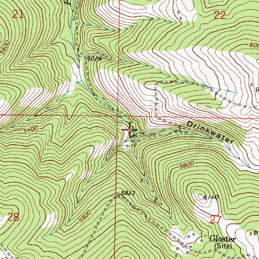 Topographic Map of Drinkwater Gulch, MT
