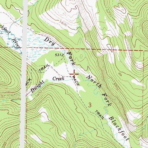 Topographic Map of Dwight Creek, MT