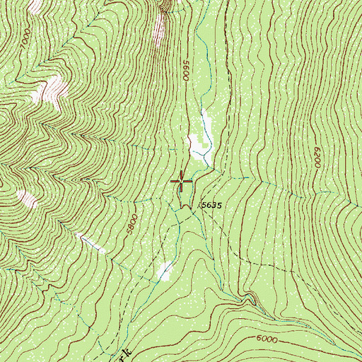Topographic Map of East Fork Ahorn Creek, MT