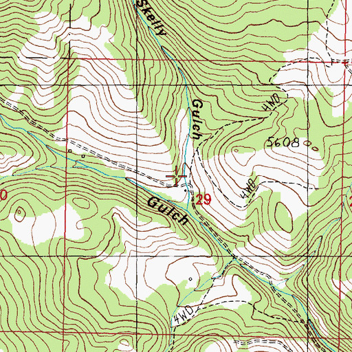 Topographic Map of East Skelly Gulch, MT