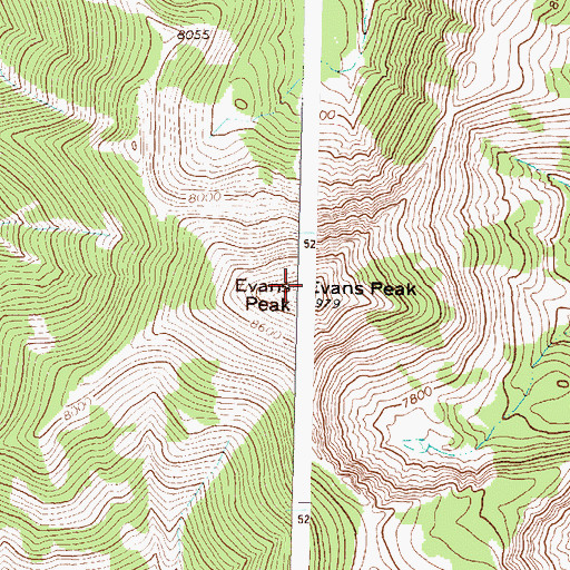 Topographic Map of Evans Peak, MT