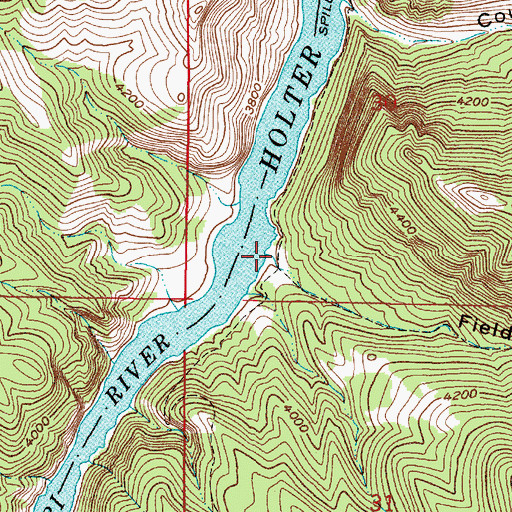 Topographic Map of Fields Gulch, MT
