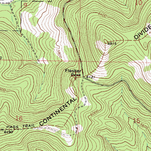 Topographic Map of Flesher Pass, MT