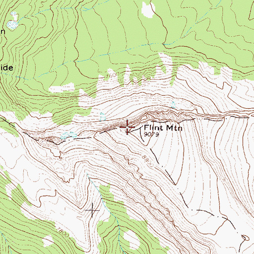 Topographic Map of Flint Mountain, MT