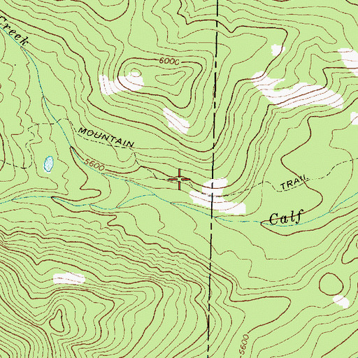 Topographic Map of Foolhen Mountain Trail, MT