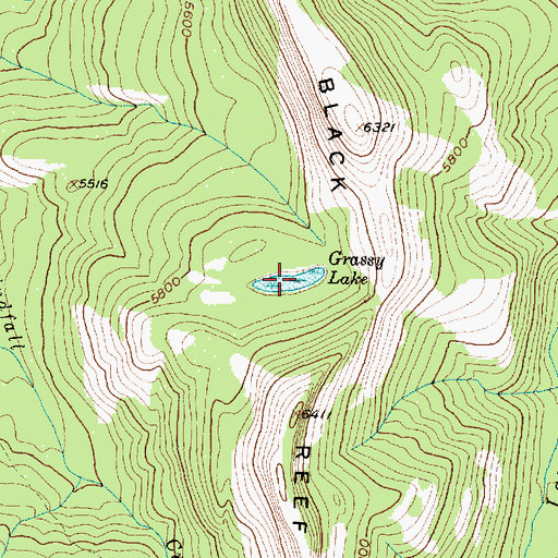 Topographic Map of Grassy Lake, MT