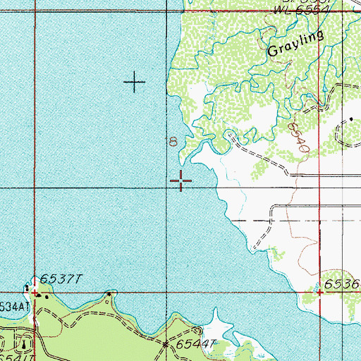 Topographic Map of Grayling Creek, MT