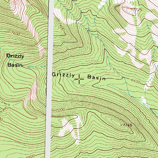 Topographic Map of Grizzly Basin, MT