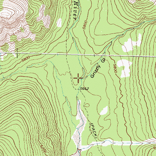 Topographic Map of Grizzly Gulch, MT