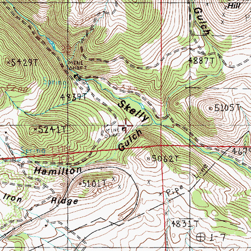 Topographic Map of Hamilton Gulch, MT